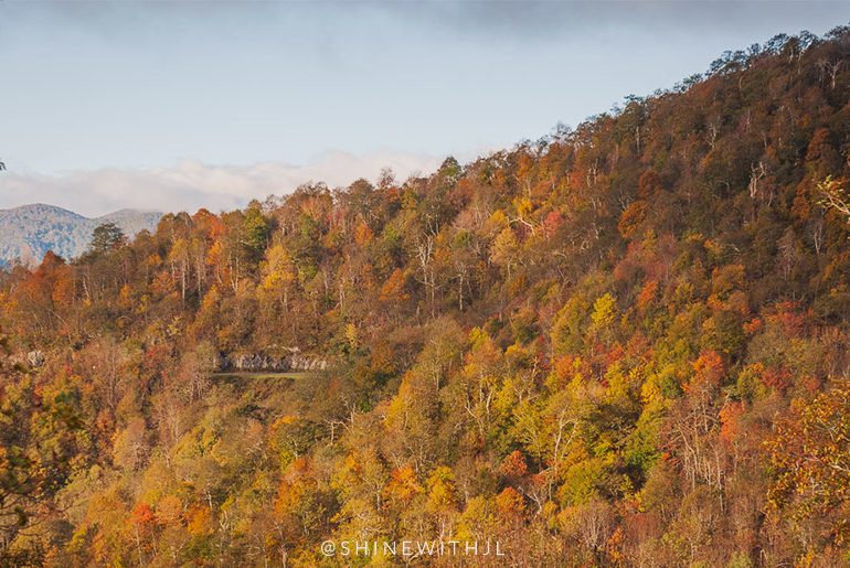 2018 Fall Foliage Map: Blue Ridge Mountains of NC fall foliage map blue ridge parkway pisgah national forest north carolina