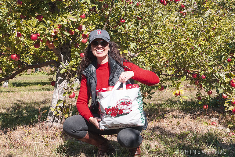 Pick Your Own Apples NH 2020 pick your own apples nh 2020