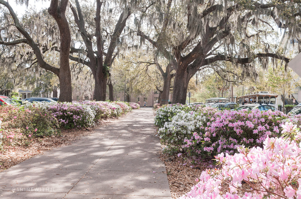 2 Nights in Savannah Where to Play and Eat Gluten Free Shine with JL