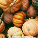 pile of pumpkins