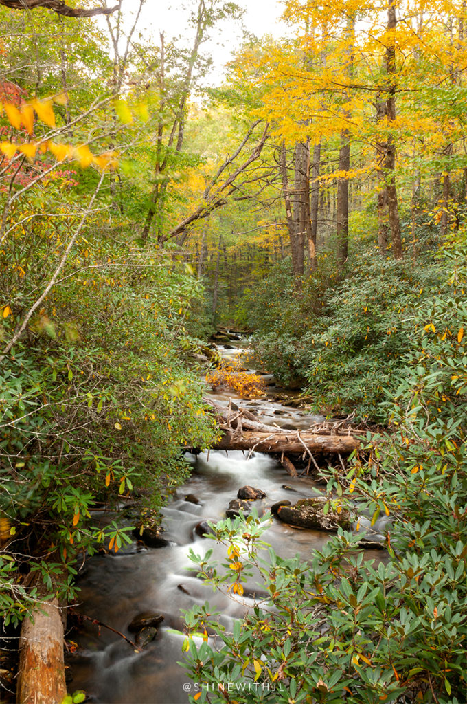 2018 Fall Foliage Map: Blue Ridge Mountains of NC - Shine with JL
