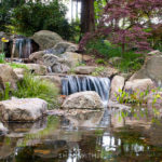 unc charlotte botanical gardens waterfall