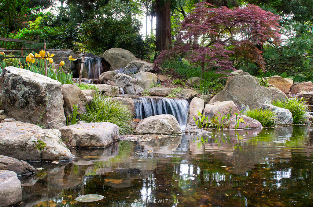 Things To Do In Charlotte: UNC Botanical Gardens - Shine with JL