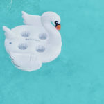 swan raft in pool