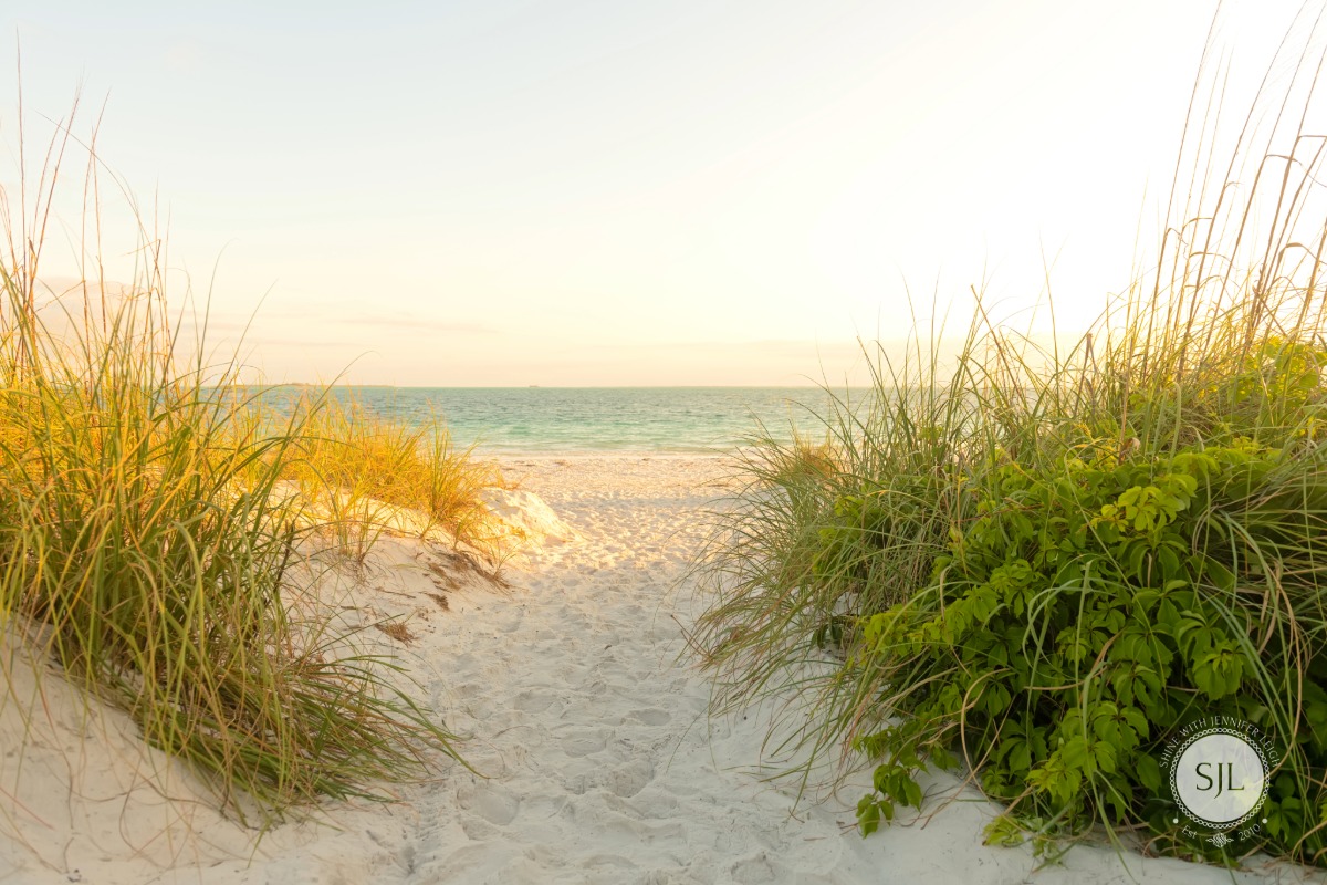 French Coastal Color Palette Inspired by Anna Maria Island Sandy beach path with sea grass leading to the ocean at sunrise on Anna Maria Island